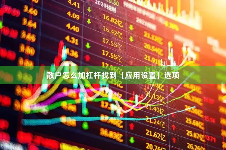 散户怎么加杠杆找到【应用设置】选项