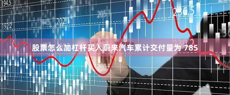 股票怎么加杠杆买入蔚来汽车累计交付量为 785