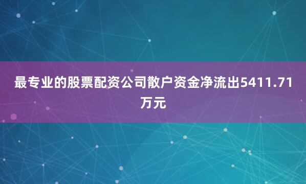 最专业的股票配资公司散户资金净流出5411.71万元