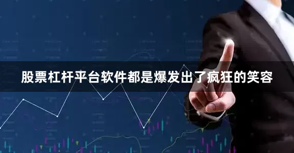 股票杠杆平台软件都是爆发出了疯狂的笑容