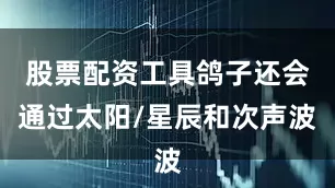 股票配资工具鸽子还会通过太阳/星辰和次声波