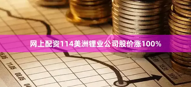 网上配资114美洲锂业公司股价涨100%