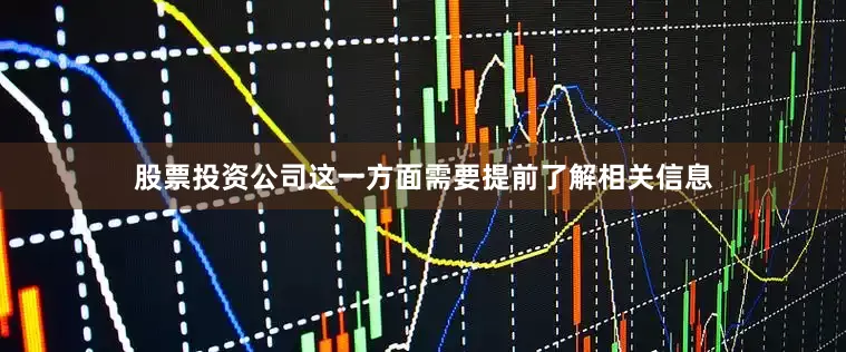 股票投资公司这一方面需要提前了解相关信息