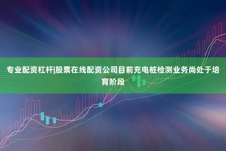 专业配资杠杆|股票在线配资公司目前充电桩检测业务尚处于培育阶段